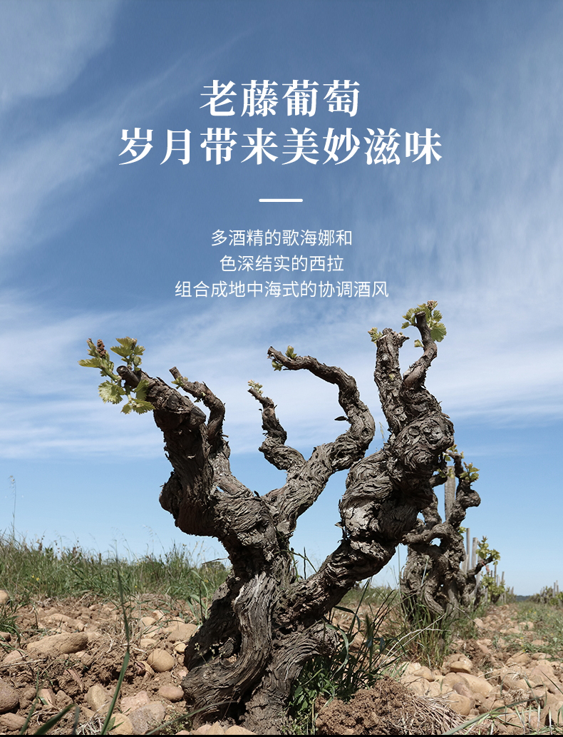 雷盛·汉妮切片_09.jpg