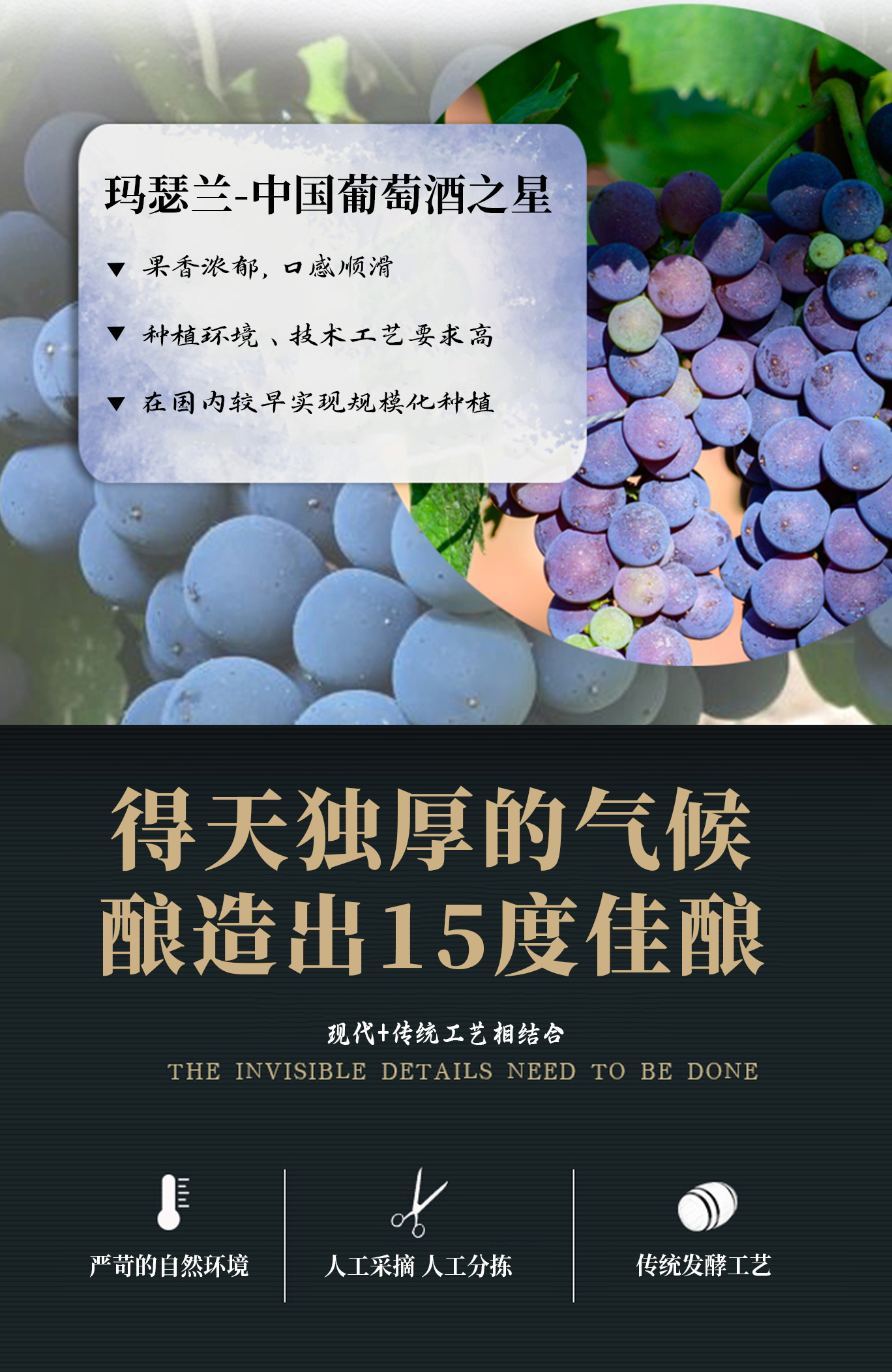 869切片_04.jpg