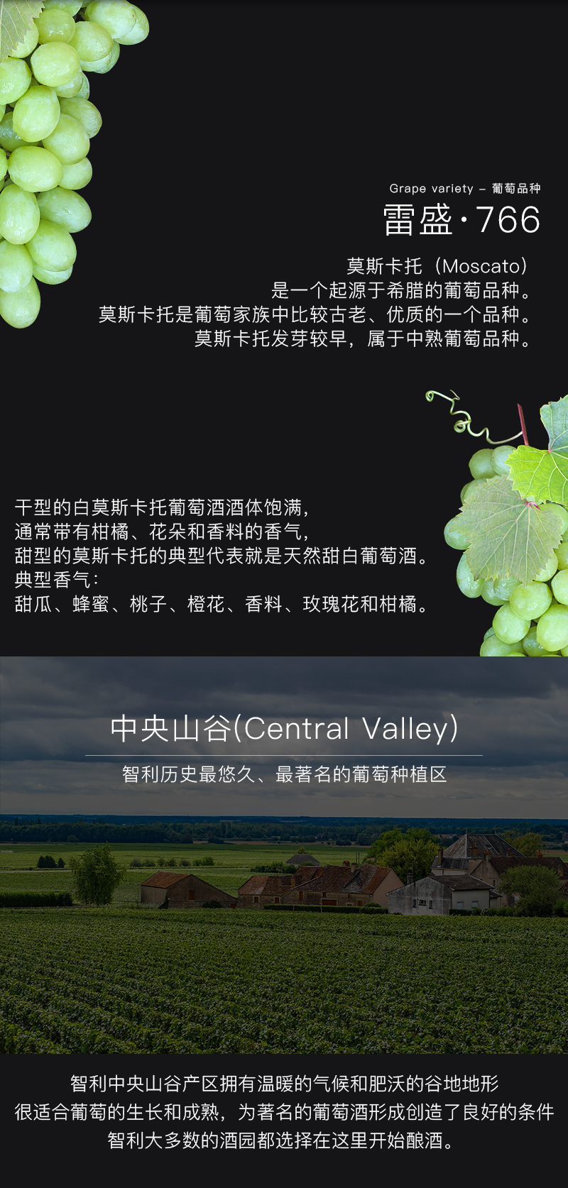 雷盛红酒766智利莫斯卡托甜白葡萄酒(图4)